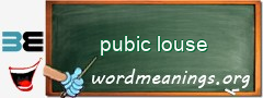 WordMeaning blackboard for pubic louse